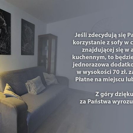 Spokojny Wypoczynek 5 Ostrow Wielkopolski Exterior photo